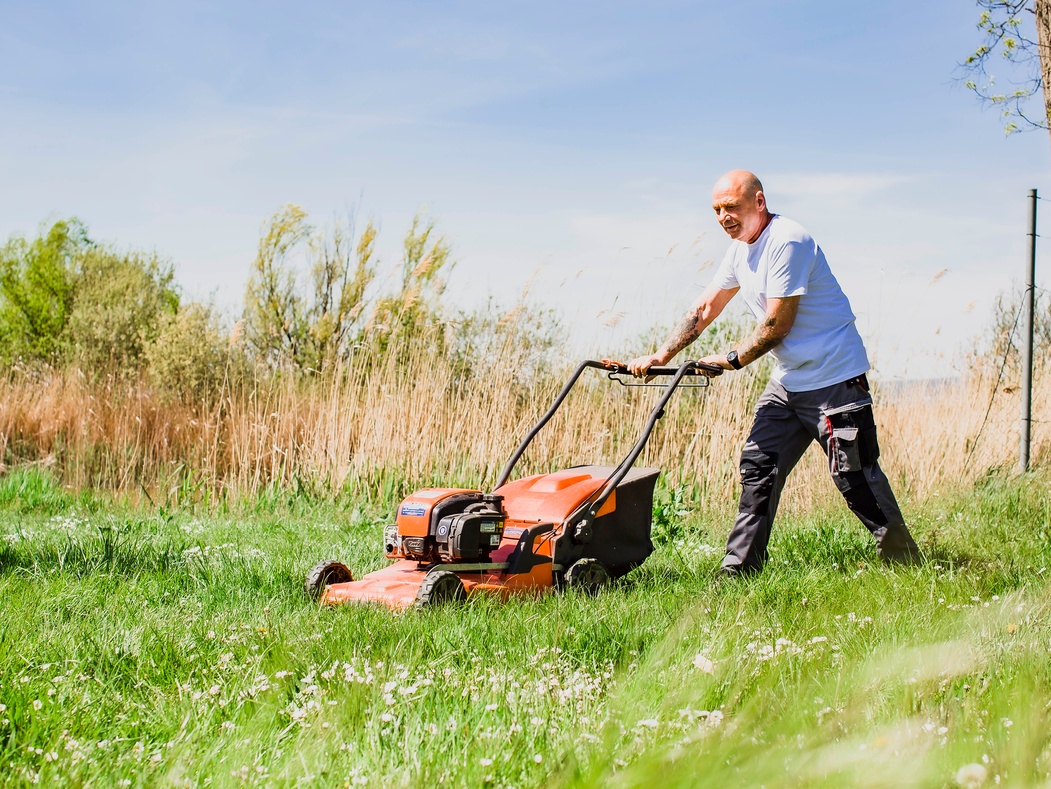 Haus und Garten Service Neusiedl – Rasenpflege für gepflegte Grünflächen